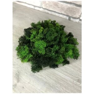 Стабилизированный мох 2 сорт (обрезки) 0,5 кг смесь зеленых оттенков для флористики/озеленения интерьера/фитокартин/зеленых стен/декор для дома