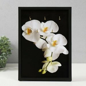 SUI Ключница открытая "Орхидея" 5 крючков, 23х32 см