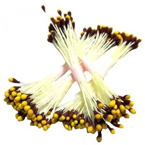 Тычинки для цветов Коричневые с желтыми кончиками, 50 шт. 5179