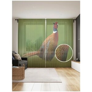 Тюль для кухни и спальни JoyArty "Одинокий фазан", 2 полотна со шторной лентой шириной по 145 см, высота 265 см.