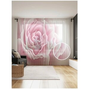 Тюль для кухни и спальни JoyArty "Роза макро", 2 полотна со шторной лентой шириной по 145 см, высота 265 см.