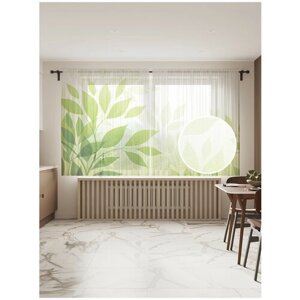 Тюль для кухни и спальни JoyArty "Солнце сквозь листья", 2 полотна со шторной лентой, 145x180 см.
