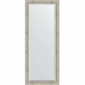 Зеркало Evoform Exclusive Floor 201х81 BY 6118 с фацетом в багетной раме - Римское серебро 88 мм