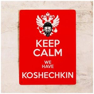 Жестяная табличка KEEP CALM we have koshechkin, металл, 30х40 см