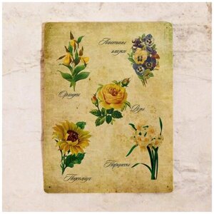 Жестяная табличка Винтажный коллаж цветы, металл, 15х22,5 см