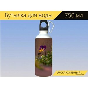 Бутылка фляга для воды "Анютины глазки, цветы, растения" 750 мл. с карабином и принтом
