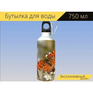 Бутылка фляга для воды "Бабочка, цветы, опылять" 750 мл. с карабином и принтом