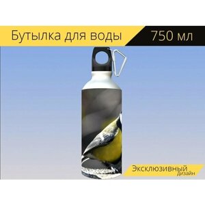 Бутылка фляга для воды "Большая синица, птица, лес" 750 мл. с карабином и принтом