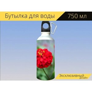 Бутылка фляга для воды "Цветок, природа, красный" 750 мл. с карабином и принтом