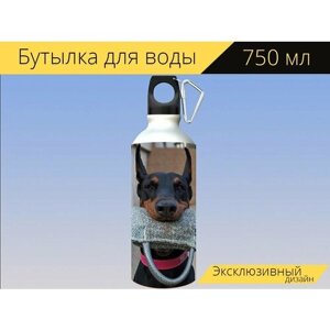 Бутылка фляга для воды "Доберман, собака, держать" 750 мл. с карабином и принтом