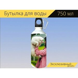 Бутылка фляга для воды "Домашние животные, собака, самоед" 750 мл. с карабином и принтом