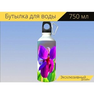 Бутылка фляга для воды "Фиалки в вечернем свете, фиолетовый, предвестником весны" 750 мл. с карабином и принтом