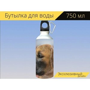 Бутылка фляга для воды "Фигура собаки, голова собаки, собака" 750 мл. с карабином и принтом