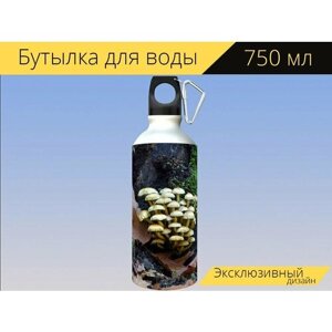 Бутылка фляга для воды "Грибы, гриб, коричневый" 750 мл. с карабином и принтом