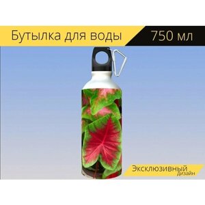 Бутылка фляга для воды "Каладиум, красный, зеленый" 750 мл. с карабином и принтом