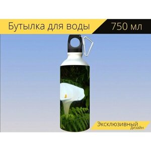 Бутылка фляга для воды "Калла, белый, цвести" 750 мл. с карабином и принтом