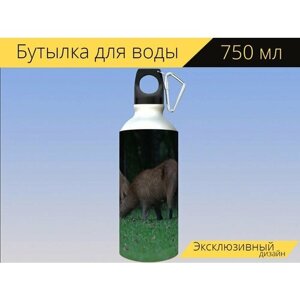 Бутылка фляга для воды "Капибара, животные, бразилия" 750 мл. с карабином и принтом
