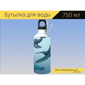 Бутылка фляга для воды "Киты, горбатый, синий" 750 мл. с карабином и принтом