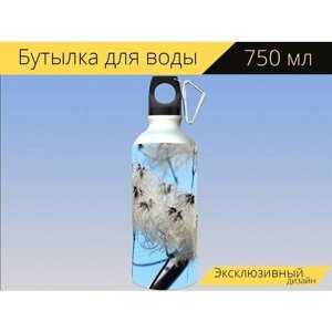 Бутылка фляга для воды "Клематис обыкновенный, подставки для фруктов, мягкий" 750 мл. с карабином и принтом