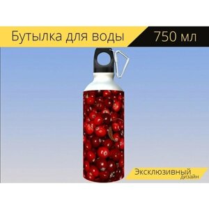 Бутылка фляга для воды "Клюква, ягода, красный" 750 мл. с карабином и принтом