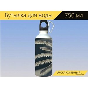 Бутылка фляга для воды "Кристаллы снега, замороженный, ветви" 750 мл. с карабином и принтом