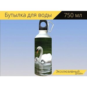 Бутылка фляга для воды "Лебедь, пруд, животные" 750 мл. с карабином и принтом