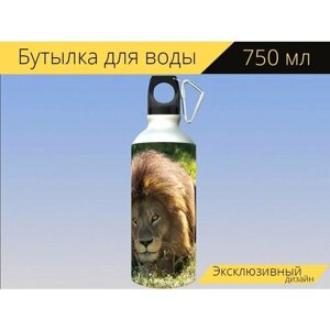 Бутылка фляга для воды "Лев, большой кот, животное" 750 мл. с карабином и принтом