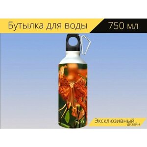 Бутылка фляга для воды "Лилия тигровая, оранжевый, зеленый" 750 мл. с карабином и принтом