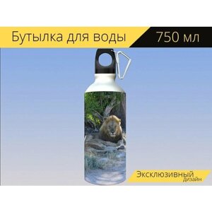 Бутылка фляга для воды "Львы, большая пятерка, природа" 750 мл. с карабином и принтом
