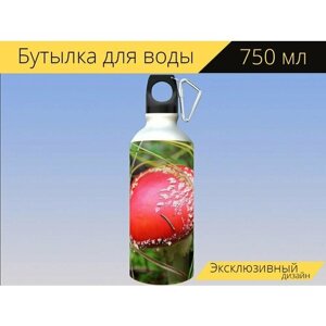 Бутылка фляга для воды "Мухомор, гриб, лес" 750 мл. с карабином и принтом