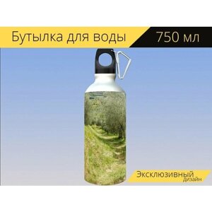 Бутылка фляга для воды "Оливковая роща, оливки, деревья" 750 мл. с карабином и принтом