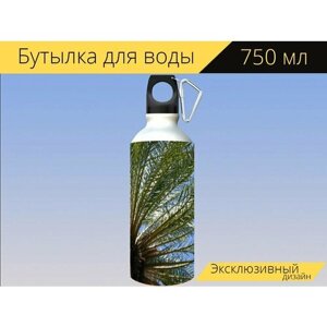 Бутылка фляга для воды "Пальмовые листья, пальма, тропический" 750 мл. с карабином и принтом
