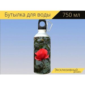 Бутылка фляга для воды "Пейзажи, япония, дом" 750 мл. с карабином и принтом