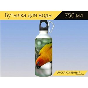 Бутылка фляга для воды "Попугай, дерево, птица" 750 мл. с карабином и принтом