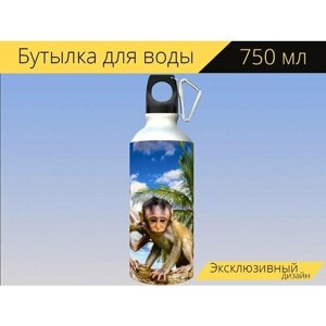 Бутылка фляга для воды "Природа, животные, обезьяны" 750 мл. с карабином и принтом