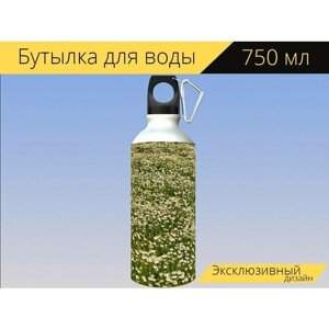 Бутылка фляга для воды "Ромашка, цветы ромашки, лекарственная трава" 750 мл. с карабином и принтом