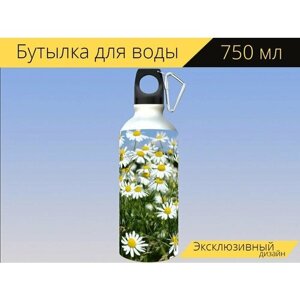 Бутылка фляга для воды "Ромашка, цветы ромашки, лекарственная трава" 750 мл. с карабином и принтом