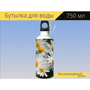Бутылка фляга для воды "Ромашки, цветы, ромашка" 750 мл. с карабином и принтом