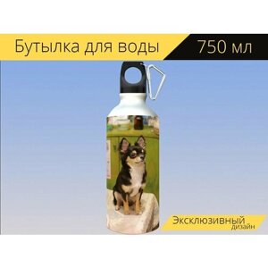 Бутылка фляга для воды "Щенок, чихуахуа, собака" 750 мл. с карабином и принтом
