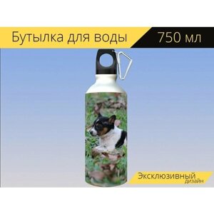 Бутылка фляга для воды "Щенок, животное, домашний питомец" 750 мл. с карабином и принтом