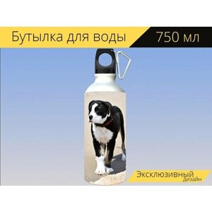 Бутылка фляга для воды "Собака, щенок, пляж" 750 мл. с карабином и принтом