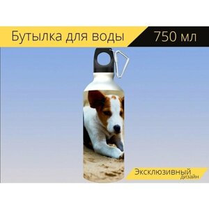 Бутылка фляга для воды "Собака, щенок, собачий" 750 мл. с карабином и принтом