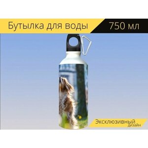 Бутылка фляга для воды "Собака, внимание, собака смешанной породы" 750 мл. с карабином и принтом