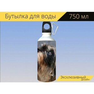 Бутылка фляга для воды "Такса, собака, домашнее животное" 750 мл. с карабином и принтом