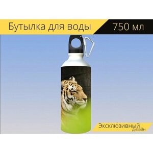 Бутылка фляга для воды "Тигр, большой кот, хищник" 750 мл. с карабином и принтом