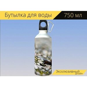 Бутылка фляга для воды "Улитка, оболочка, датчик" 750 мл. с карабином и принтом