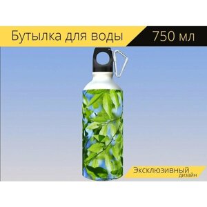 Бутылка фляга для воды "Весна, свежий зеленый цвет, синее небо" 750 мл. с карабином и принтом