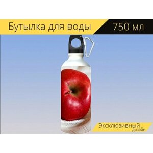 Бутылка фляга для воды "Яблоко, фрукты, свежее" 750 мл. с карабином и принтом
