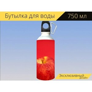 Бутылка фляга для воды "Яблоко, красный, фрукты" 750 мл. с карабином и принтом