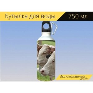 Бутылка фляга для воды "Женский крупного рогатого скота, корова, домашний скот" 750 мл. с карабином и принтом